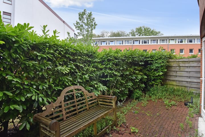 Photo 18 of Bocht van Guinea 11