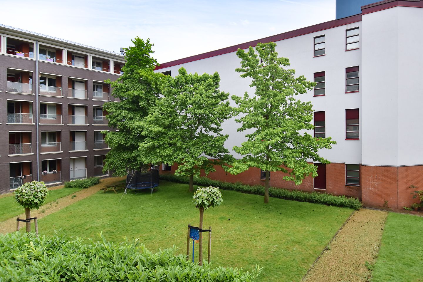 Photo 20 of Bocht van Guinea 11