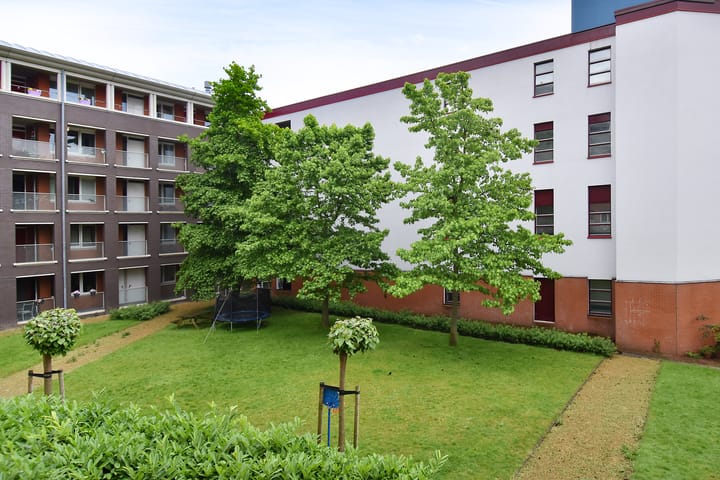 Photo 20 of Bocht van Guinea 11