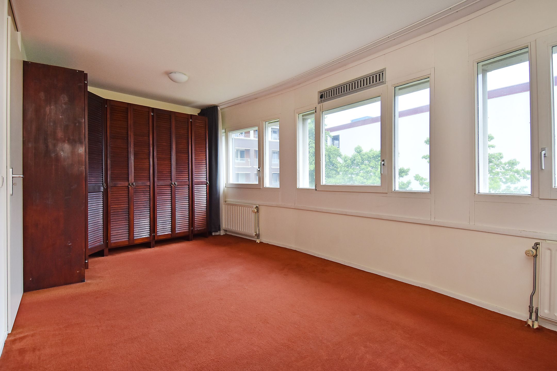 Photo 24 of Bocht van Guinea 11