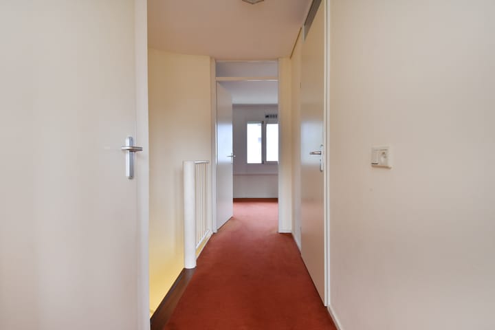 Photo 30 of Bocht van Guinea 11