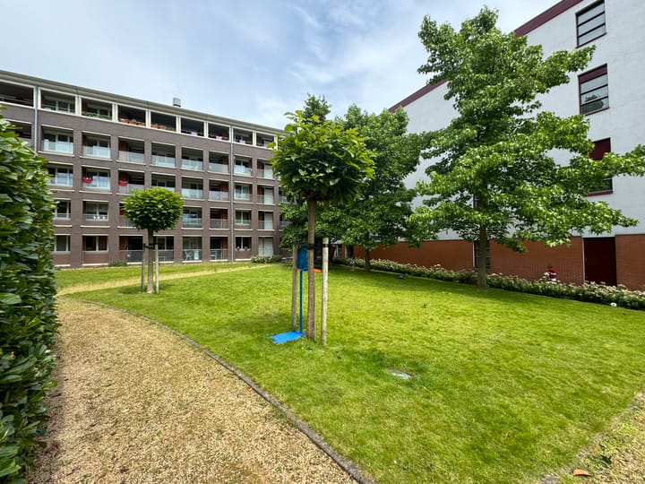 Photo 34 of Bocht van Guinea 11