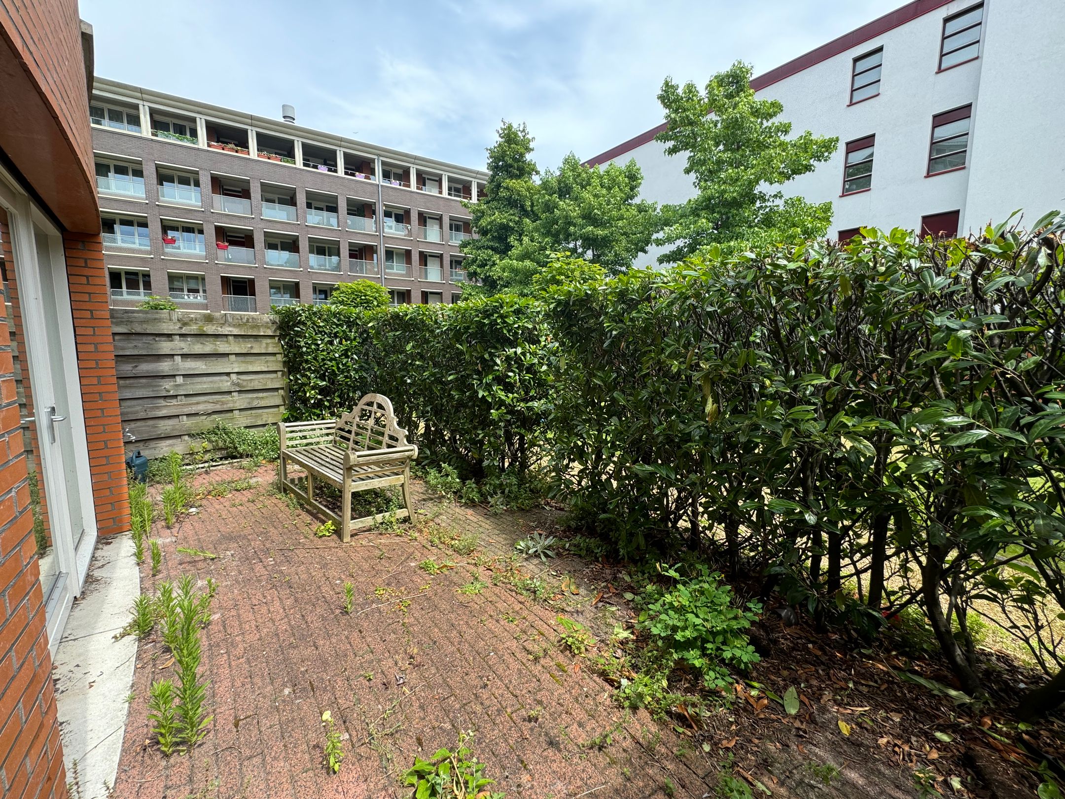 Photo 36 of Bocht van Guinea 11