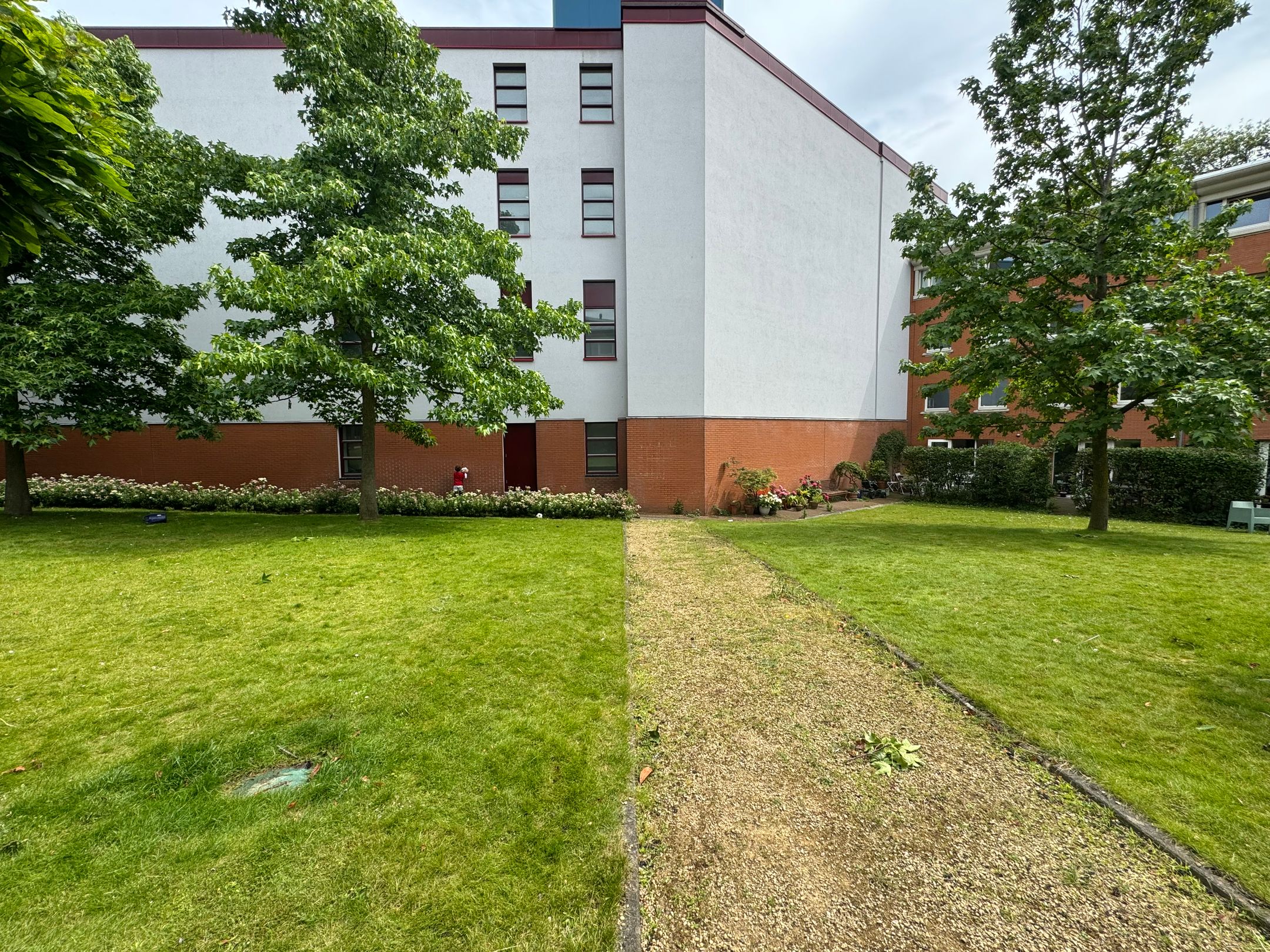 Photo 39 of Bocht van Guinea 11