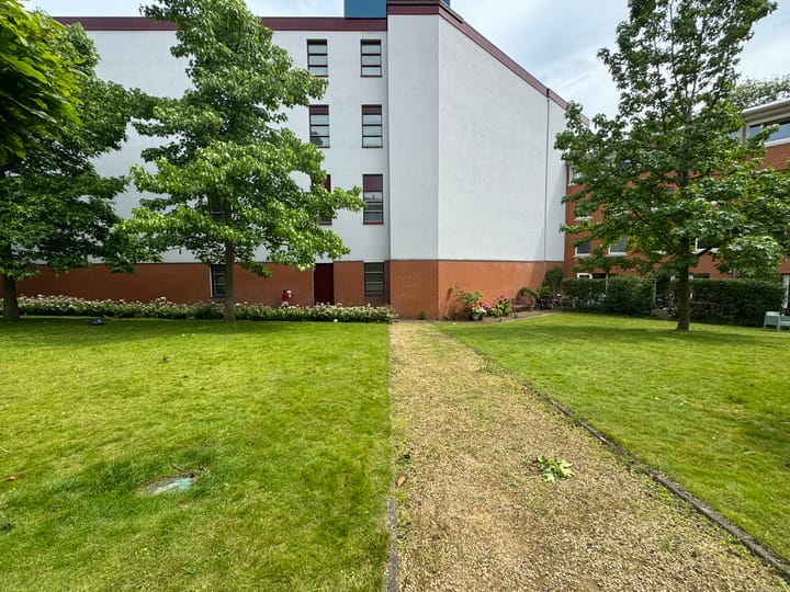 Photo 39 of Bocht van Guinea 11