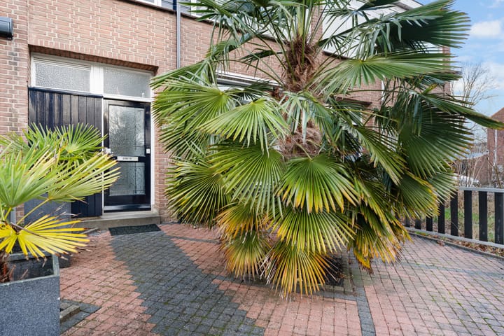 Foto 40 van Pretoriusstraat 141