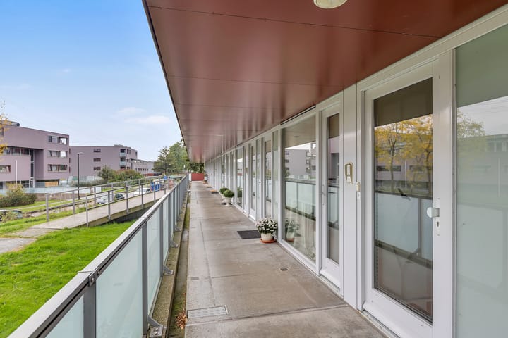 Foto 7 van Karper 11