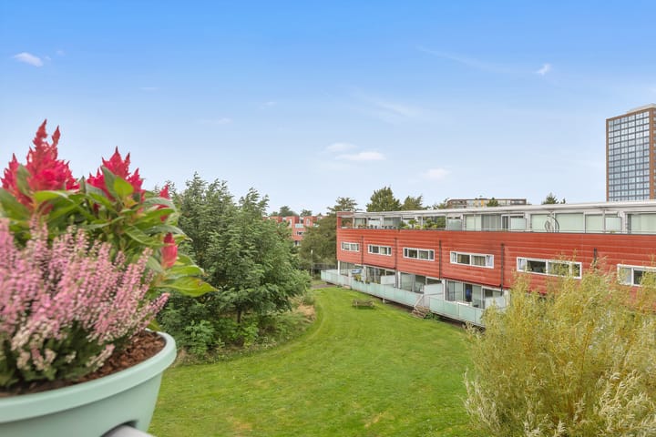 Foto 12 van Karper 11