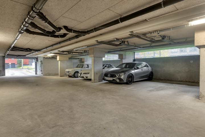 Foto 34 van Karper 11