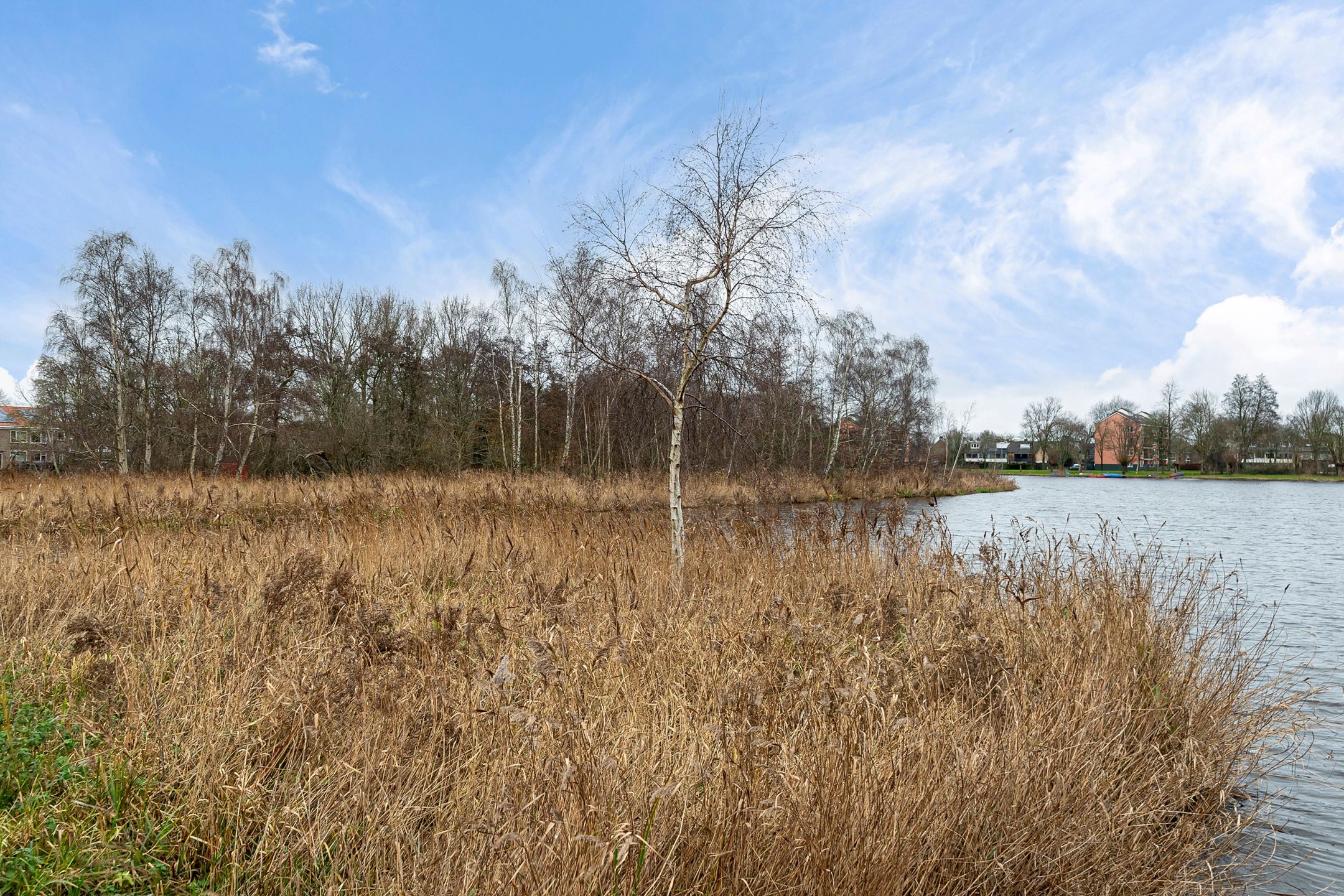 Photo 36 of Marijkestraat 19