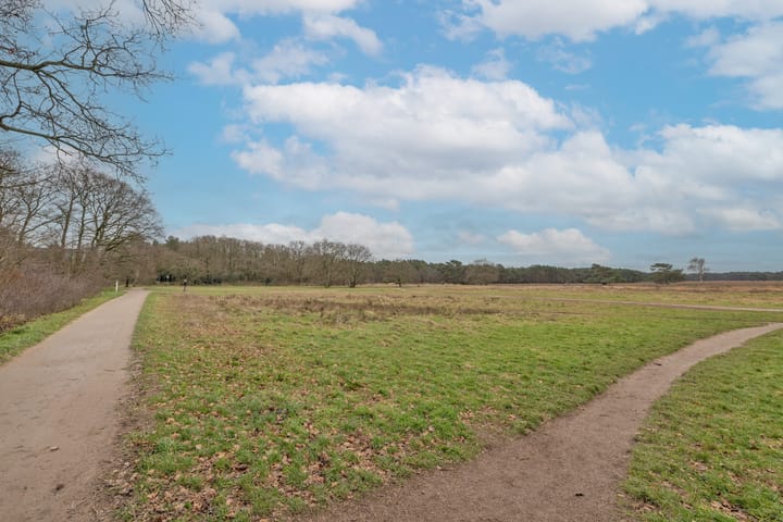 Foto 18 van Cornelia de Langelaan 74