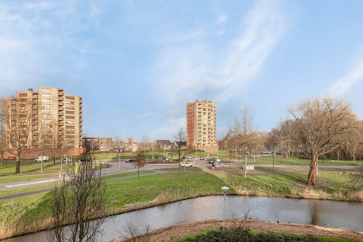 Foto 21 van Scheerling 133