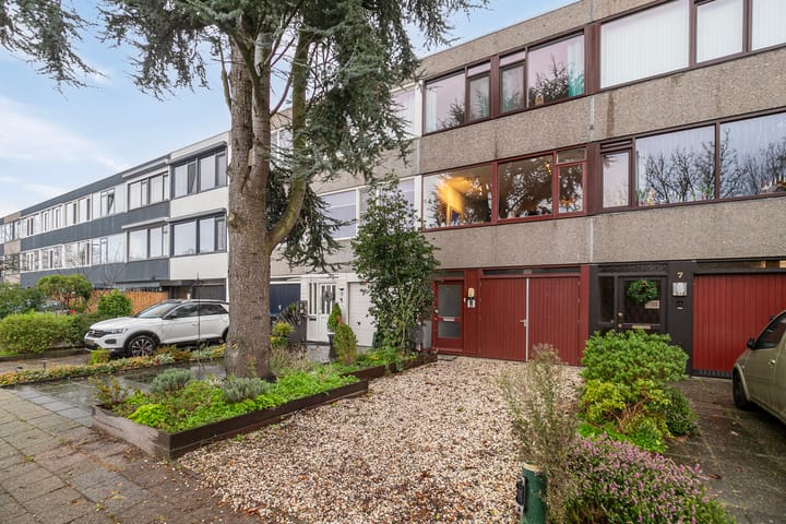 Foto 1 van Akkerdistel 9