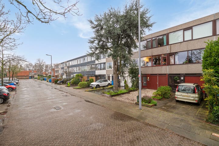 Foto 5 van Akkerdistel 9