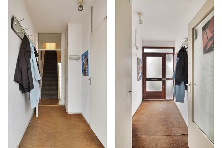 Foto 6 van Akkerdistel 9