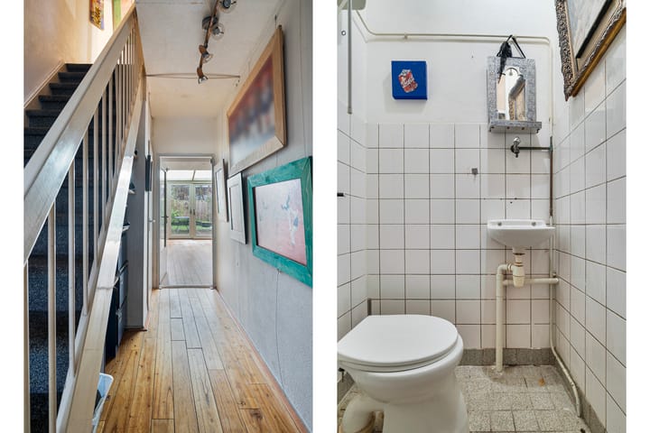 Foto 7 van Akkerdistel 9