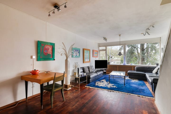 Foto 10 van Akkerdistel 9