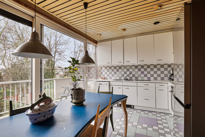 Foto 15 van Akkerdistel 9