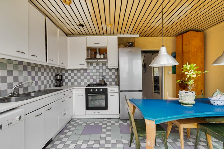 Foto 16 van Akkerdistel 9