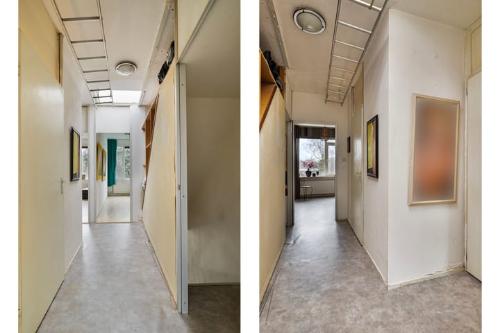 Foto 19 van Akkerdistel 9