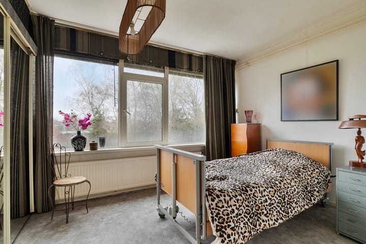 Foto 20 van Akkerdistel 9