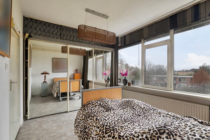 Foto 21 van Akkerdistel 9