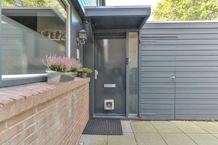 Foto 5 van Ruinerbrink 10