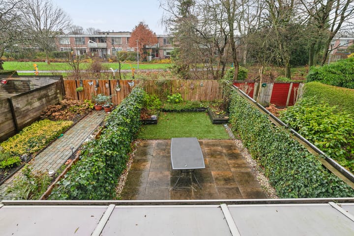 Foto 26 van Akkerdistel 9