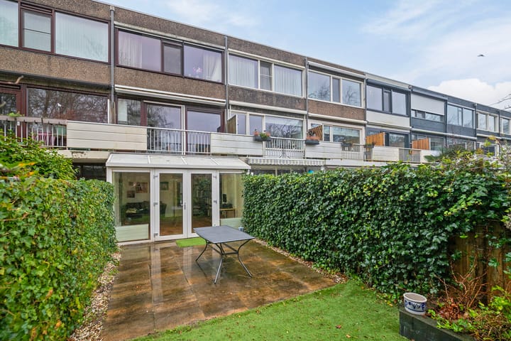 Foto 28 van Akkerdistel 9