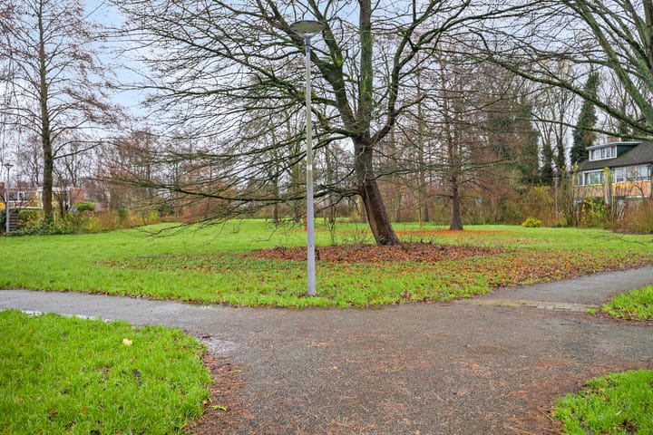 Foto 29 van Akkerdistel 9