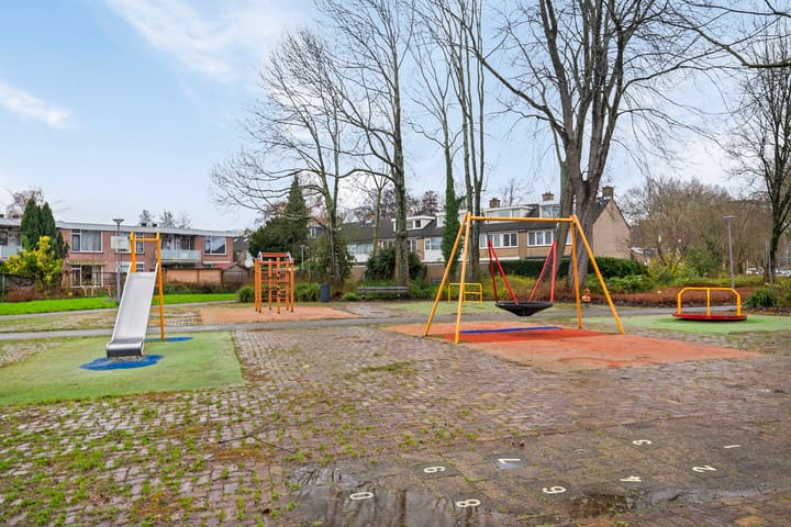 Foto 30 van Akkerdistel 9