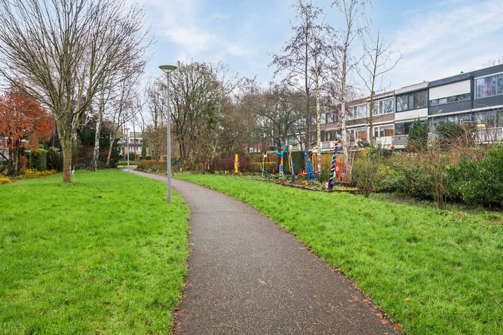 Foto 31 van Akkerdistel 9