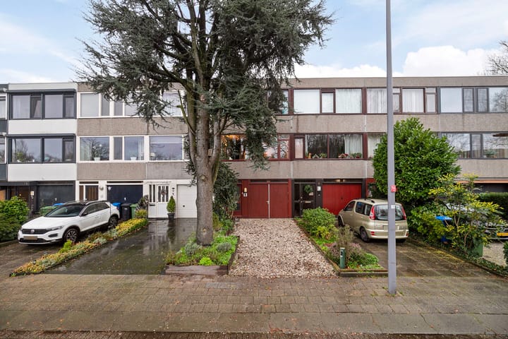 Foto 32 van Akkerdistel 9