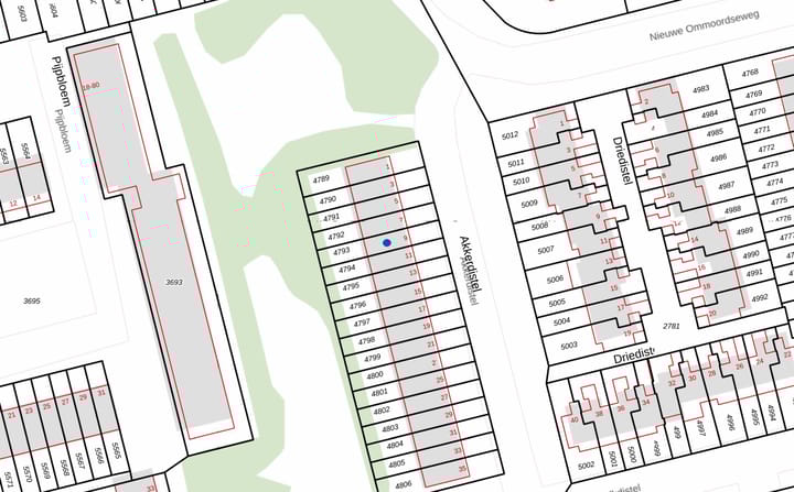 Foto 38 van Akkerdistel 9