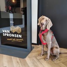 Mr. Beau - Afdeling Buitendienst