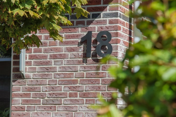 Bekijk foto 14 van Sterappel 18