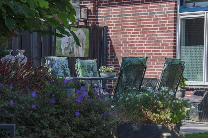 Foto 62 van Sterappel 18