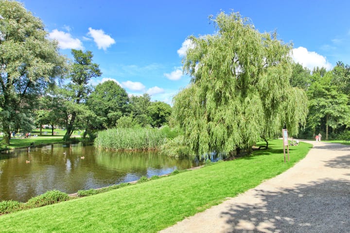 Foto 34 van Pieter Baststraat 13-1