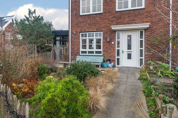 Foto 8 van Tapijtschelp 1