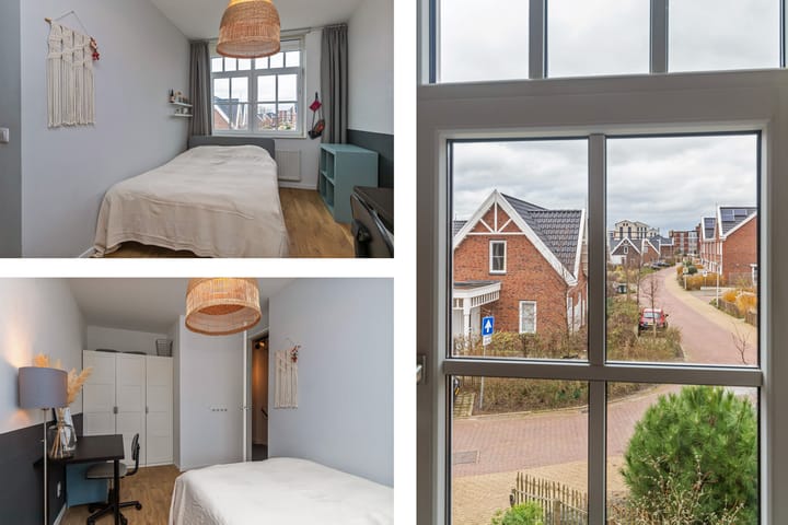 Foto 27 van Tapijtschelp 1