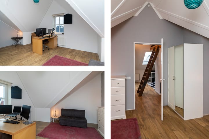 Foto 32 van Tapijtschelp 1