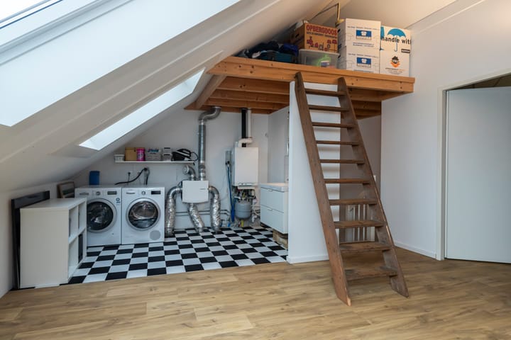 Foto 34 van Tapijtschelp 1