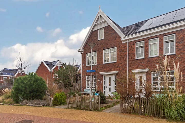 Foto 38 van Tapijtschelp 1