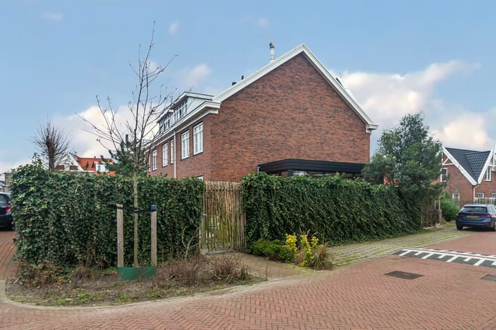 Foto 40 van Tapijtschelp 1