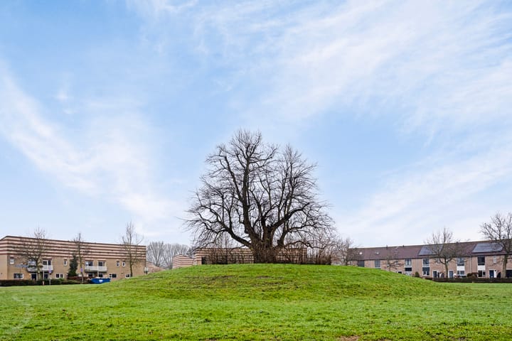 Foto 33 van Terpeborch 68