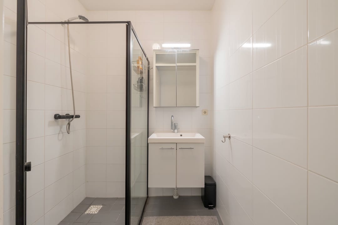 Foto 8 van Oude Spaarneweg 61