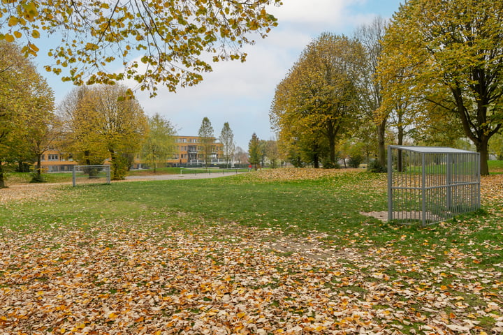 Bekijk foto 42 van Heidehoeve 37