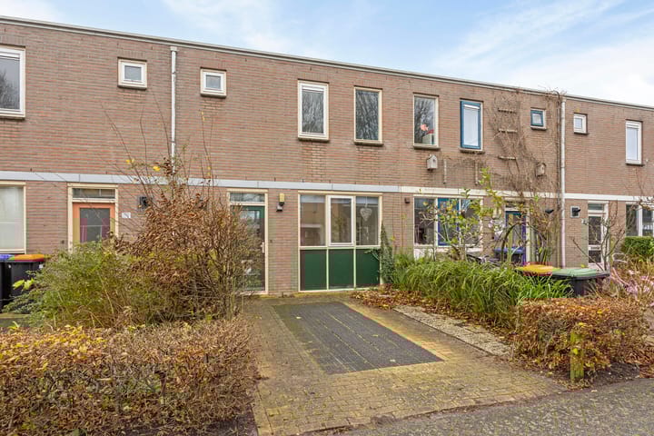 Foto 25 van Kruizemunt 121