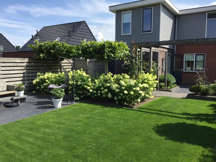 Foto 50 van P.B. Winsemiusstrjitte 29