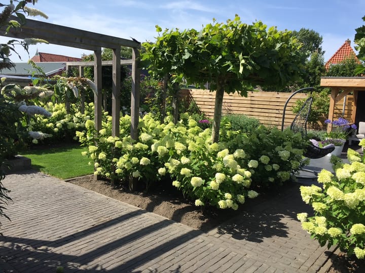 Foto 53 van P.B. Winsemiusstrjitte 29